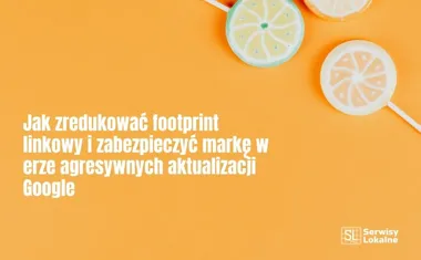 Obraz do artykułu: Jak zredukować footprint linkowy i zabezpieczyć markę w erze agresywnych aktualizacji Google