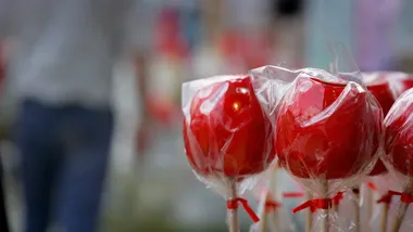 Dożynki, koncerty i kino pod chmurką. Taki weekend czeka w Jastrzębiu-Zdroju