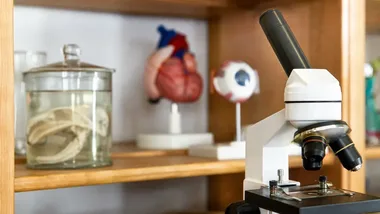 75 tysięcy złotych na naukę biologii. W SP nr 20 powstała Zielona Pracownia