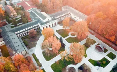 Seniorzy znów w terenie – spacer i seans filmowy od Miejskiego Ośrodka Sportu i Rekreacji