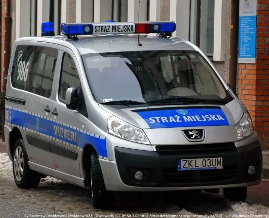 Straż Miejska i OSP Ruptawa uczą dzieci bezpieczeństwa na festynie w Jastrzębiu